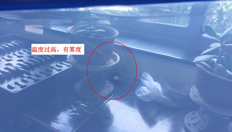 注塑制品質量缺陷分析（六）造成制品表面有霧度的主要原因是什么？