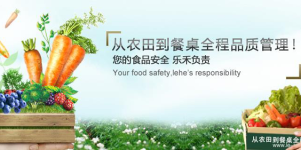 打造完整食材供應鏈，樂禾食品完成1億元B輪融資